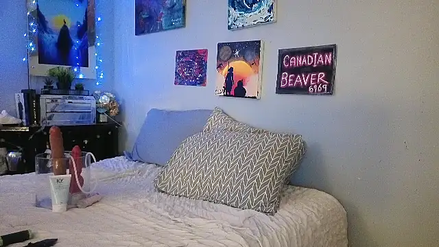 Snapshot of CanadianBeaver6969 chatting on June 2, 2026, 7:41 am CanadianBeaver6969 online show from June 2, 2026, 7:41 am