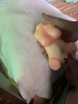 Snapshot of anonimotarado12 chatting on October 9, 2025, 10:05 am anonimotarado12 online show from October 9, 2025, 10:05 am