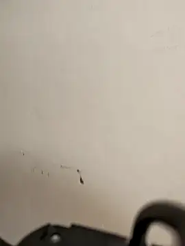 Snapshot of AvaLloyd chatting on February 20, 2026, 6:26 am AvaLloyd online show from February 20, 2026, 6:26 am