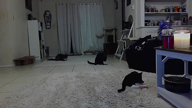 Snapshot of CrystalLakeXO chatting on October 19, 2025, 7:44 am CrystalLakeXO online show from October 19, 2025, 7:44 am