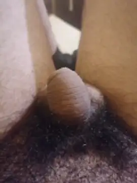 Dortmund69nn online show from February 27, 2026, 11:37 pm