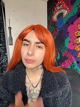  Artemisa X online show from November 5, 2025, 1:36 pm