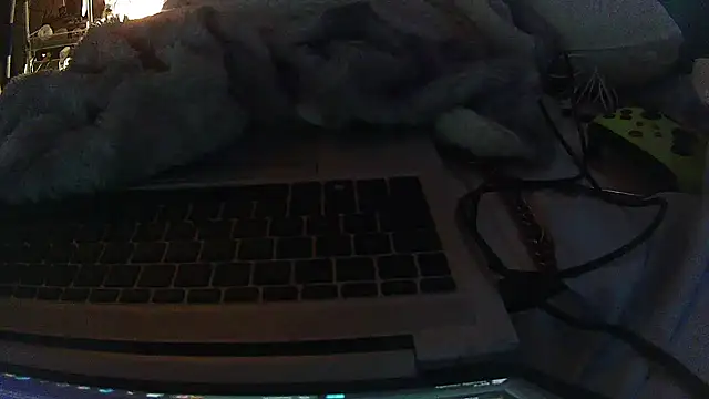 Snapshot of jaxx12369 chatting on February 10, 2026, 7:35 pm jaxx12369 online show from February 10, 2026, 7:35 pm