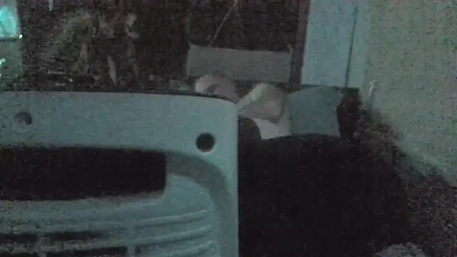 Snapshot of jaxx12369 chatting on February 22, 2026, 7:04 pm jaxx12369 online show from February 22, 2026, 7:04 pm