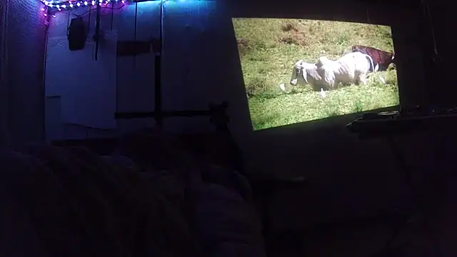 Snapshot of jaxx12369 chatting on February 28, 2026, 6:35 am jaxx12369 online show from February 28, 2026, 6:35 am