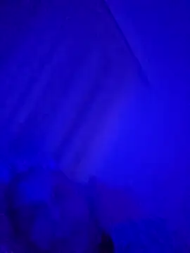 Snapshot of denisxlRo chatting on March 16, 2025, 8:10 pm denisxlRo online show from March 16, 2025, 8:10 pm