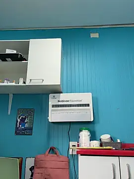 Reinacatchile online show from February 3, 2026, 7:52 pm