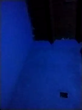 pmalvado912 online show from March 28, 2026, 5:08 am