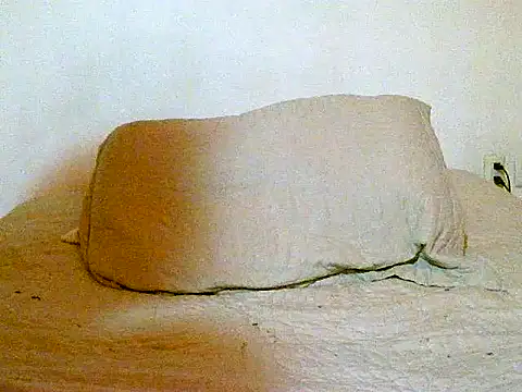 Snapshot of pollarikaaa chatting on December 14, 2025, 12:06 am pollarikaaa online show from December 14, 2025, 12:06 am