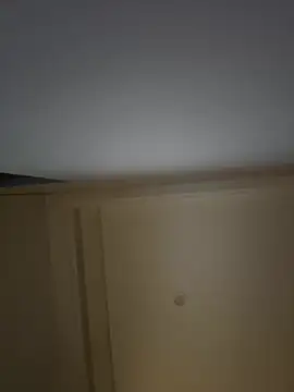 Snapshot of palzkybi123 chatting on March 1, 2026, 1:00 pm palzkybi123 online show from March 1, 2026, 1:00 pm