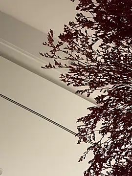 Snapshot of palzkybi123 chatting on October 22, 2025, 12:04 pm palzkybi123 online show from October 22, 2025, 12:04 pm