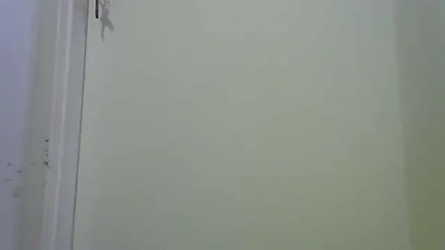 funguybr36 online show from February 22, 2026, 4:37 am