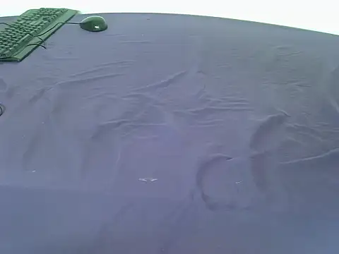 laetitia  online show from January 6, 2026, 1:48 pm