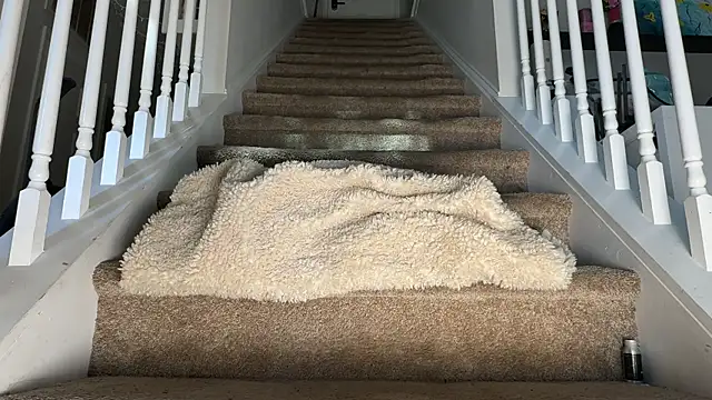 Snapshot of Theonlydreamybull chatting on October 17, 2025, 5:15 pm Theonlydreamybull online show from October 17, 2025, 5:15 pm