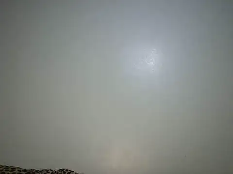 Toxique  online show from June 26, 2026, 5:52 pm