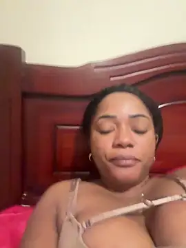 Noviostoxico online show from February 13, 2026, 3:28 am