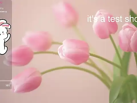 Snapshot of Lovensetest chatting on November 11, 2025, 6:30 am Lovensetest online show from November 11, 2025, 6:30 am