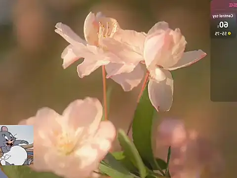 Snapshot of Lovensetest chatting on October 22, 2025, 7:19 am Lovensetest online show from October 22, 2025, 7:19 am