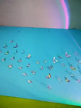 evelyn prince1 online show from February 3, 2026, 2:00 am