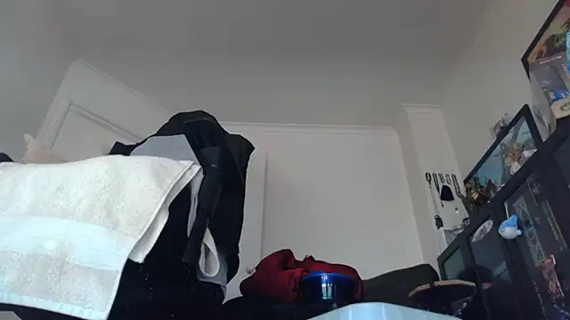 PissingBear online show from February 5, 2026, 3:13 am