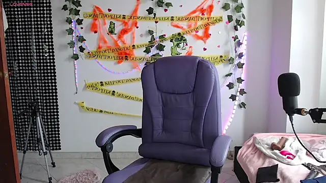 Snapshot of sophie_north chatting on October 10, 2025, 4:41 pm sophie north online show from October 10, 2025, 4:41 pm