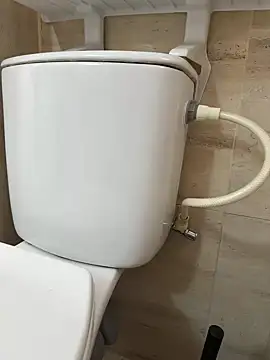 Snapshot of hotisraeli chatting on October 24, 2025, 5:28 am hotisraeli online show from October 24, 2025, 5:28 am