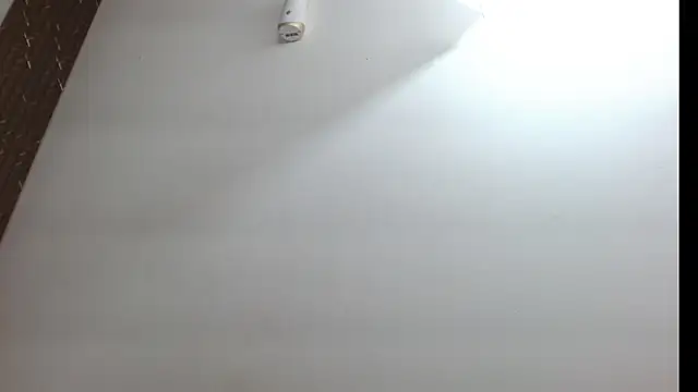 Snapshot of adaraacox chatting on October 8, 2025, 11:38 pm adaraacox online show from October 8, 2025, 11:38 pm