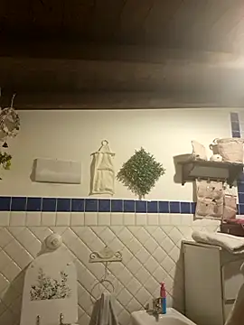 vampvanna23 online show from February 6, 2026, 1:56 am