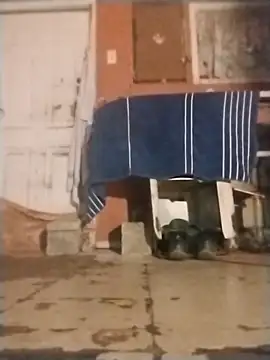 brownfeet online show from January 18, 2025, 4:59 am