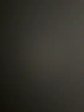 vorhauttree online show from December 4, 2025, 3:11 pm