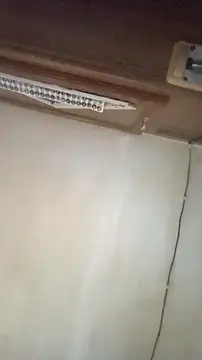 Dllarge online show from October 15, 2025, 3:27 am