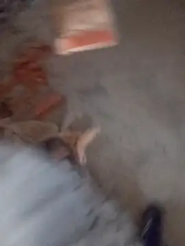 Snapshot of Kurtsikici@xh chatting on November 5, 2025, 2:53 pm Kurtsikicixh online show from November 5, 2025, 2:53 pm