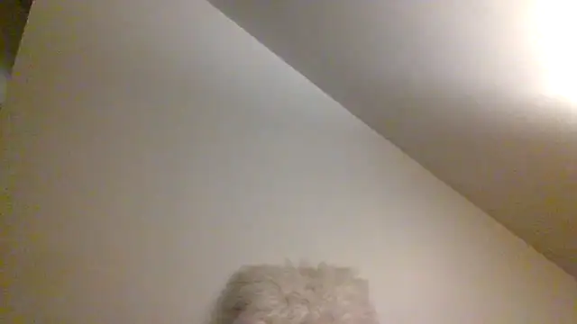 Snapshot of AllLeggs chatting on December 9, 2024, 7:39 am AllLeggs online show from December 9, 2024, 7:39 am