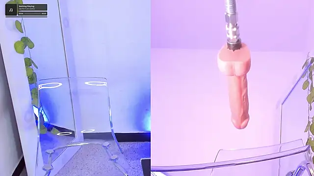 amberthomson cm online show from October 30, 2025, 7:11 pm