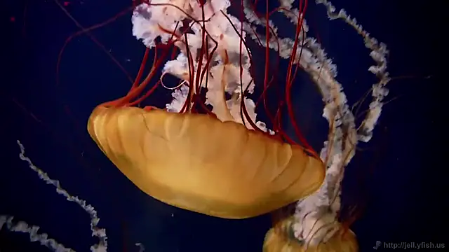 Snapshot of streamy_test12 chatting on December 19, 2025, 1:24 pm streamy test12 online show from December 19, 2025, 1:24 pm