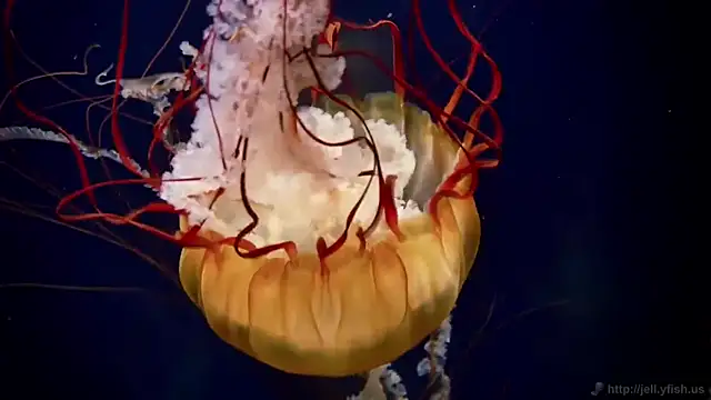 Snapshot of streamy_test12 chatting on March 26, 2026, 8:01 am streamy test12 online show from March 26, 2026, 8:01 am