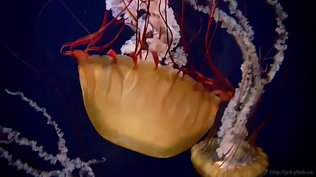 Snapshot of streamy_test12 chatting on March 11, 2026, 11:48 am streamy test12 online show from March 11, 2026, 11:48 am