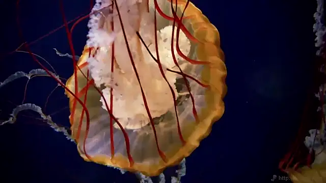 Snapshot of streamy_test12 chatting on September 26, 2025, 9:16 am streamy test12 online show from September 26, 2025, 9:16 am