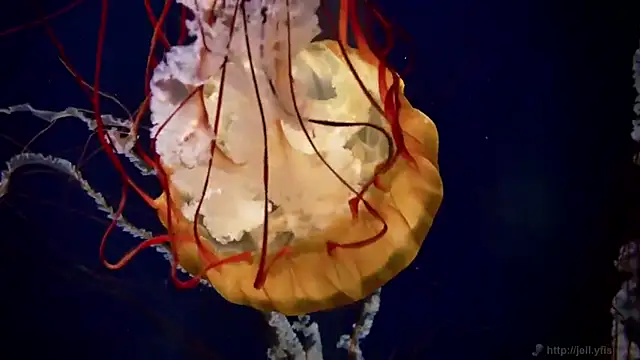 Snapshot of streamy_test12 chatting on November 27, 2025, 3:01 pm streamy test12 online show from November 27, 2025, 3:01 pm