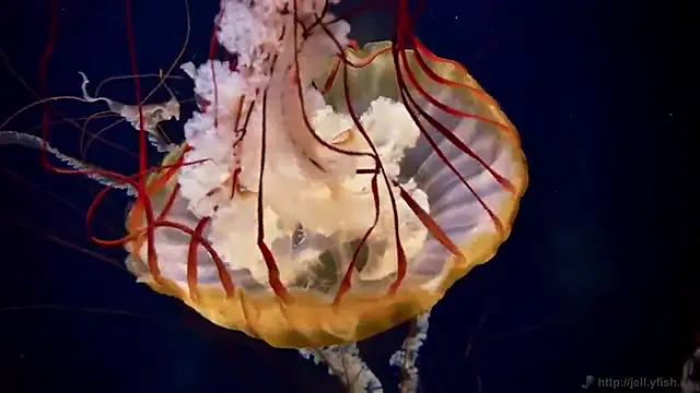 Snapshot of streamy_test12 chatting on December 4, 2025, 1:54 pm streamy test12 online show from December 4, 2025, 1:54 pm