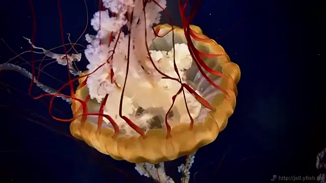 Snapshot of streamy_test12 chatting on February 11, 2026, 2:39 pm streamy test12 online show from February 11, 2026, 2:39 pm