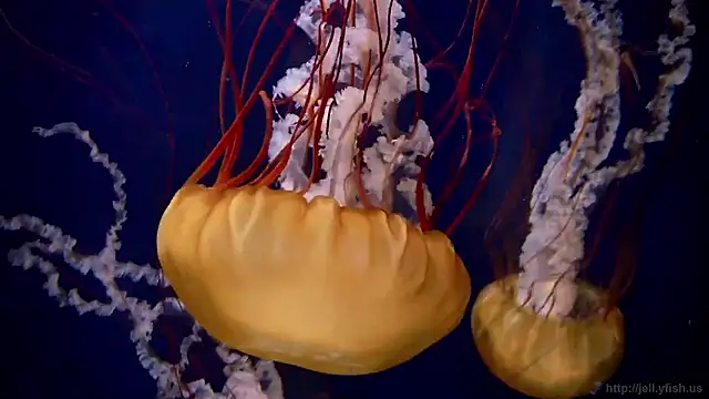 Snapshot of streamy_test15 chatting on November 27, 2025, 3:12 pm streamy test15 online show from November 27, 2025, 3:12 pm