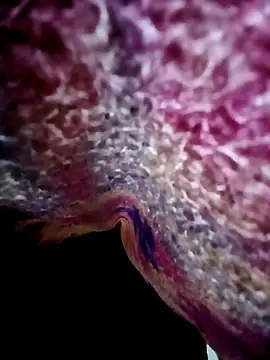 morenogts69 online show from October 24, 2025, 1:32 pm