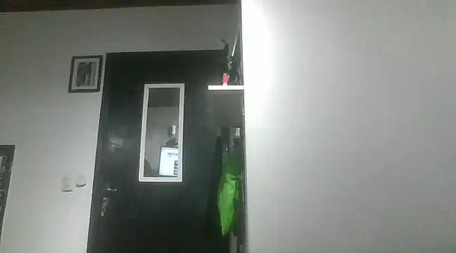 WellingtonPiettroRio online show from December 2, 2024, 8:15 am