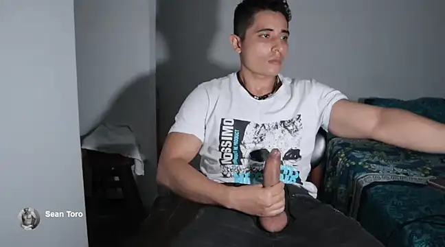 Snapshot of SeanToro chatting on December 15, 2024, 12:51 am SeanToro online show from December 15, 2024, 12:51 am