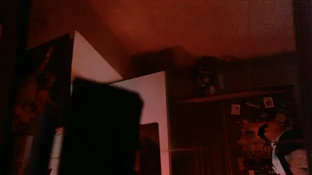 Snapshot of bravo23toro chatting on August 3, 2026, 9:09 pm bravo23toro online show from August 3, 2026, 9:09 pm