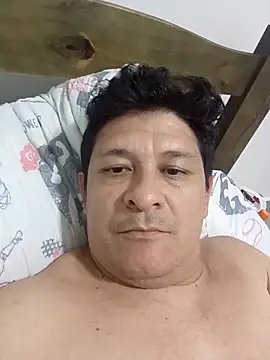 Damiaao online show from February 11, 2026, 11:15 pm