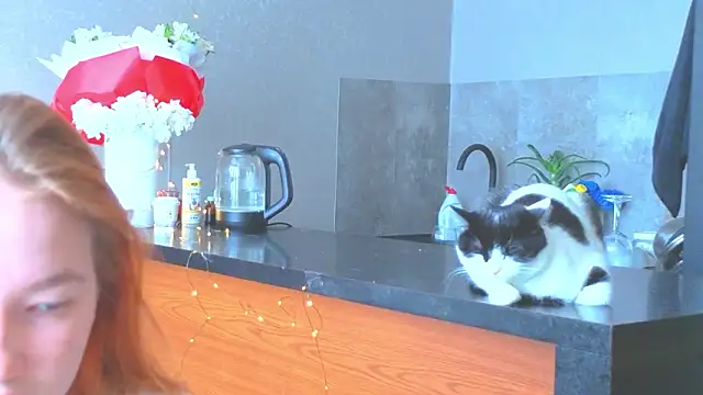 Snapshot of erikabrian chatting on February 17, 2026, 3:37 am erikabrian online show from February 17, 2026, 3:37 am