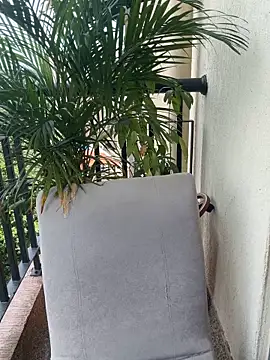 Pretty Isadora online show from March 4, 2026, 4:59 pm