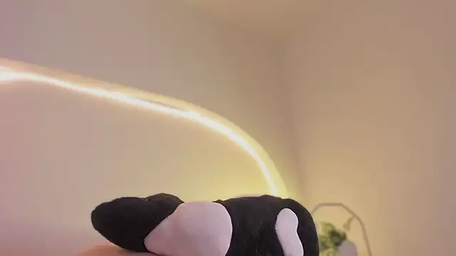 katiepeach  online show from March 12, 2026, 3:12 am